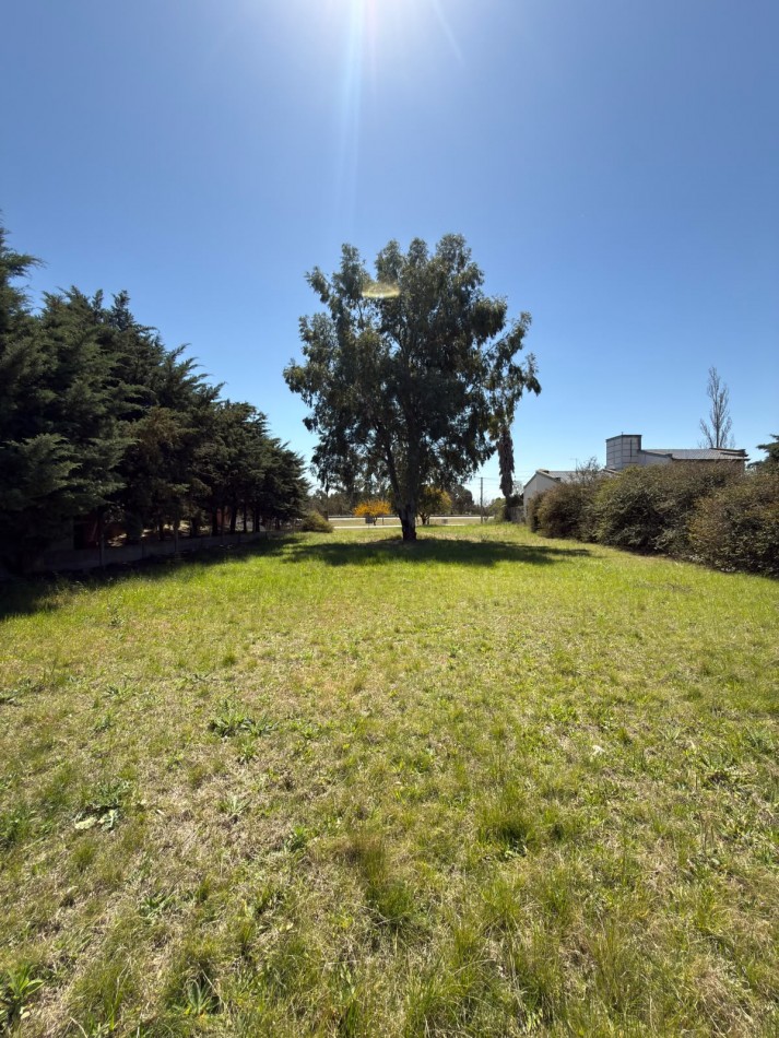 LOTES FRENTE COMPLEJO PLAYA CHIC- LAGO PIEDRAS MORAS