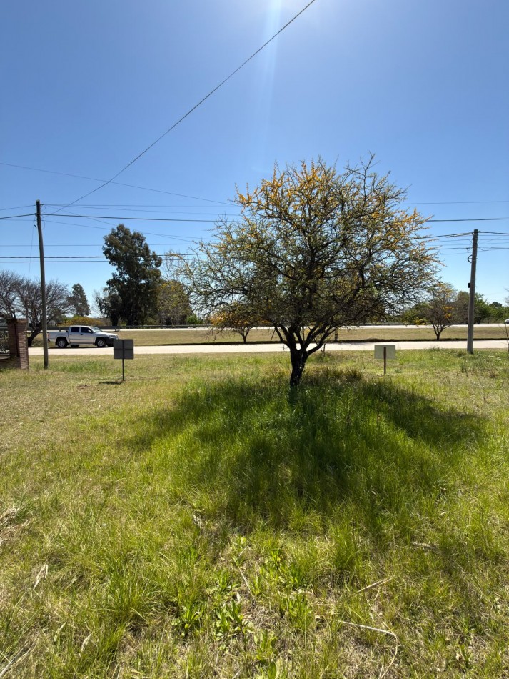 LOTES FRENTE COMPLEJO PLAYA CHIC- LAGO PIEDRAS MORAS