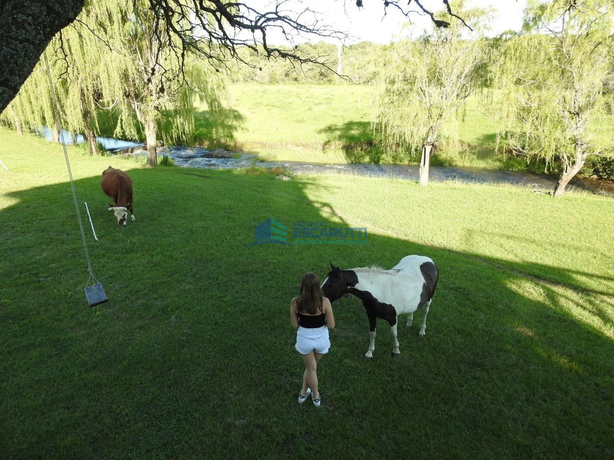 EXCELENTE CAMPO de 54 HAS. S/ COSTA DE ARROYO C/ TRES CABAÑAS A 20 MINUTOS DE ALMAFUERTE. 