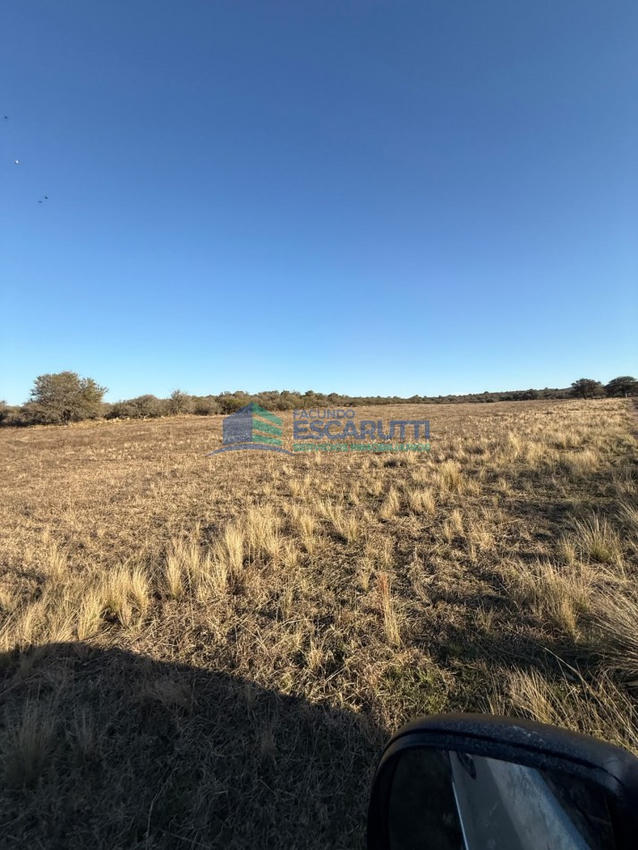 EXCELENTE CAMPO de 54 HAS. S/ COSTA DE ARROYO C/ TRES CABAÑAS A 20 MINUTOS DE ALMAFUERTE. 