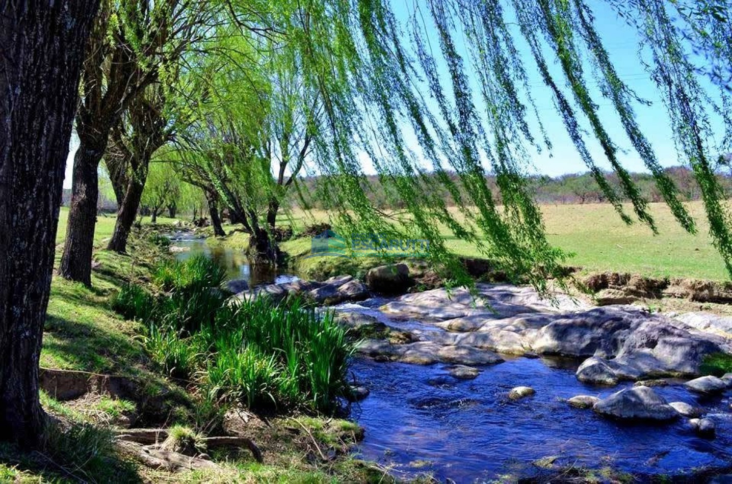 EXCELENTE CAMPO de 54 HAS. S/ COSTA DE ARROYO C/ TRES CABAÑAS A 20 MINUTOS DE ALMAFUERTE. 