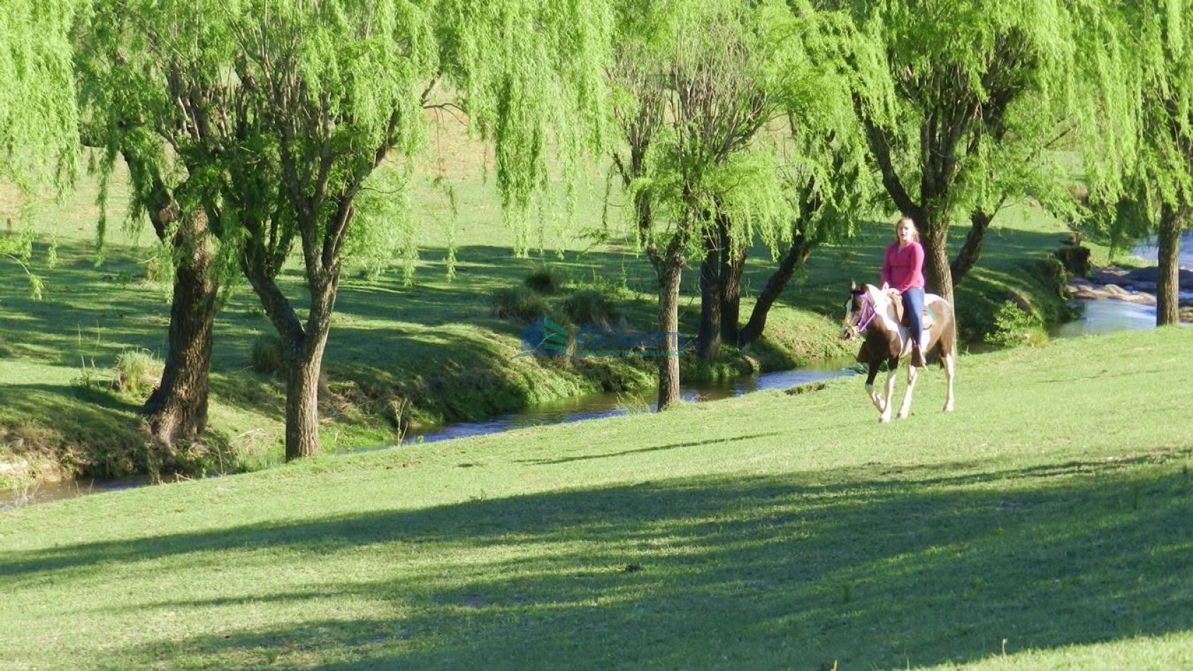 EXCELENTE CAMPO de 54 HAS. S/ COSTA DE ARROYO C/ TRES CABAÑAS A 20 MINUTOS DE ALMAFUERTE. 
