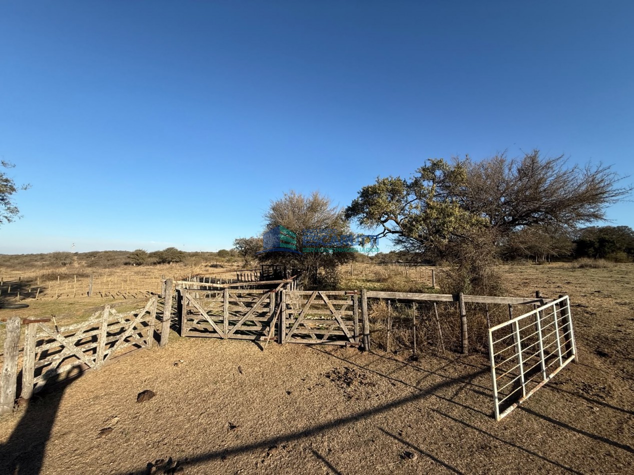 EXCELENTE CAMPO de 54 HAS. S/ COSTA DE ARROYO C/ TRES CABAÑAS A 20 MINUTOS DE ALMAFUERTE. 