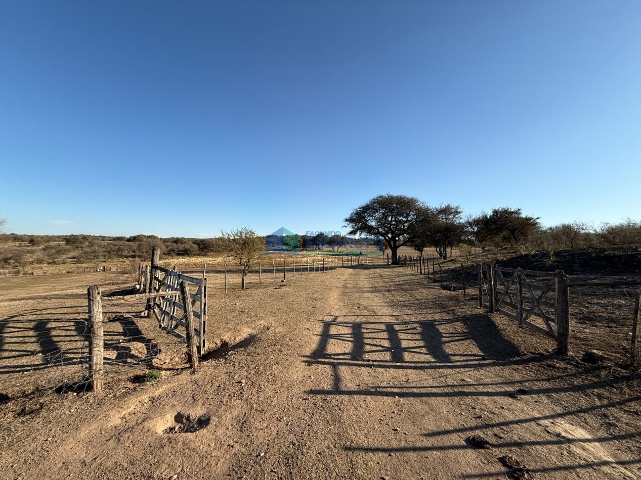 EXCELENTE CAMPO de 54 HAS. S/ COSTA DE ARROYO C/ TRES CABAÑAS A 20 MINUTOS DE ALMAFUERTE. 