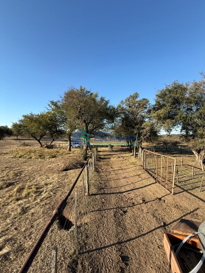 EXCELENTE CAMPO de 54 HAS. S/ COSTA DE ARROYO C/ TRES CABAÑAS A 20 MINUTOS DE ALMAFUERTE. 