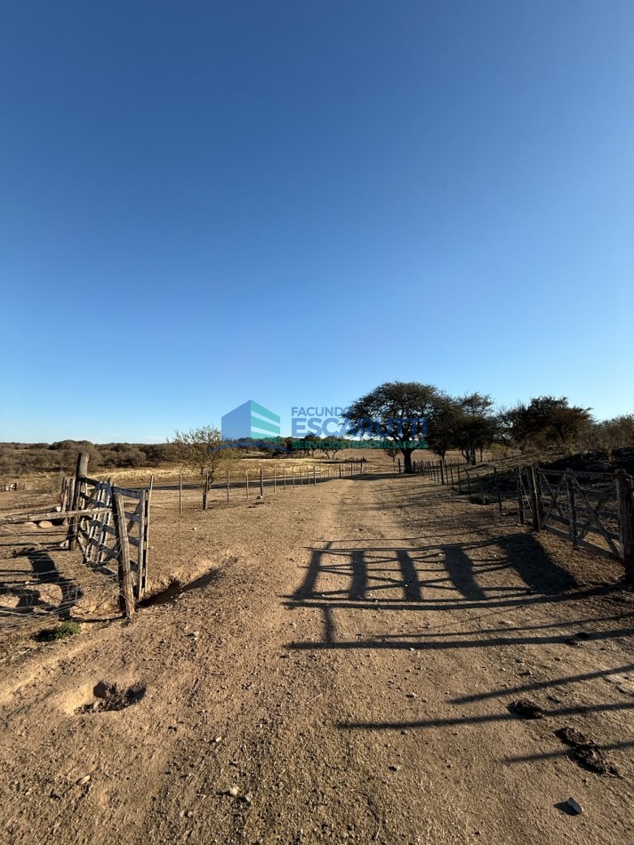 EXCELENTE CAMPO de 54 HAS. S/ COSTA DE ARROYO C/ TRES CABAÑAS A 20 MINUTOS DE ALMAFUERTE. 